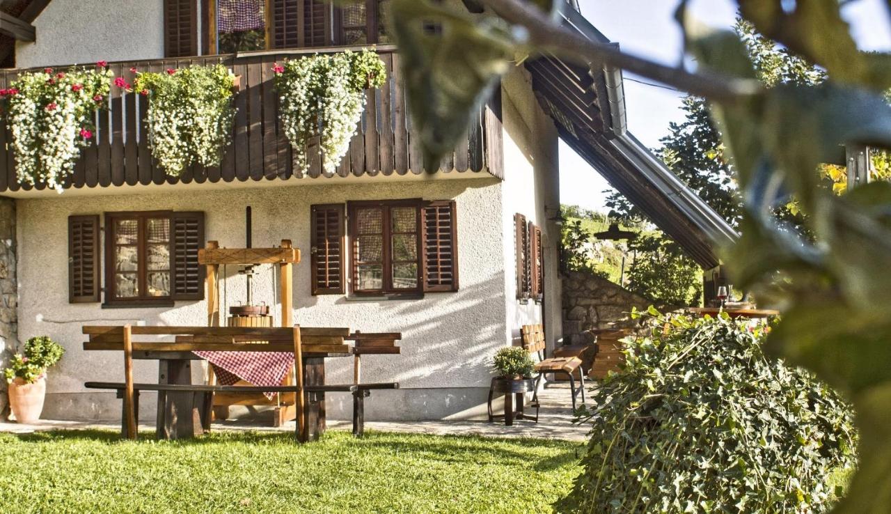Vineyard Cottage Podrzaj 오토세크 외부 사진