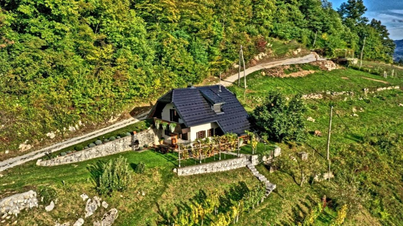 Vineyard Cottage Podrzaj 오토세크 외부 사진