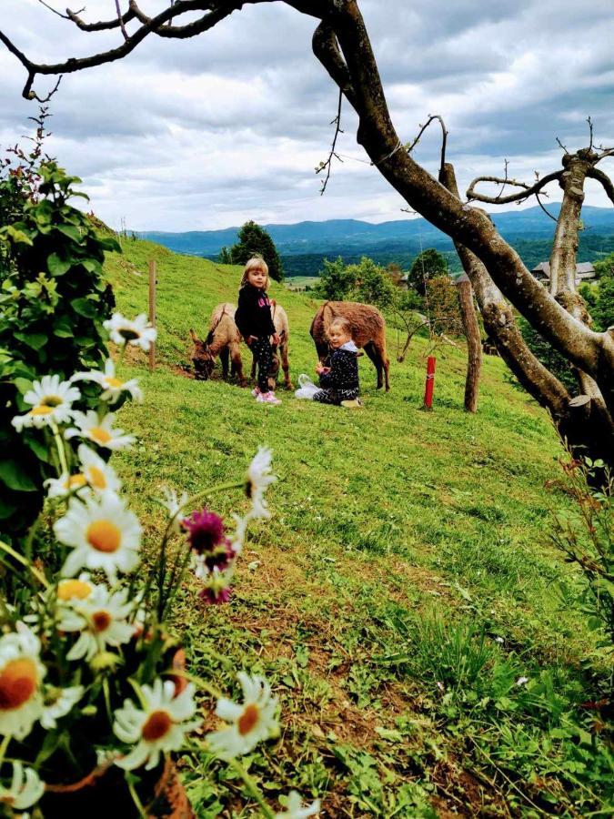 Vineyard Cottage Podrzaj 오토세크 외부 사진