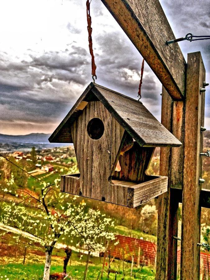 Vineyard Cottage Podrzaj 오토세크 외부 사진