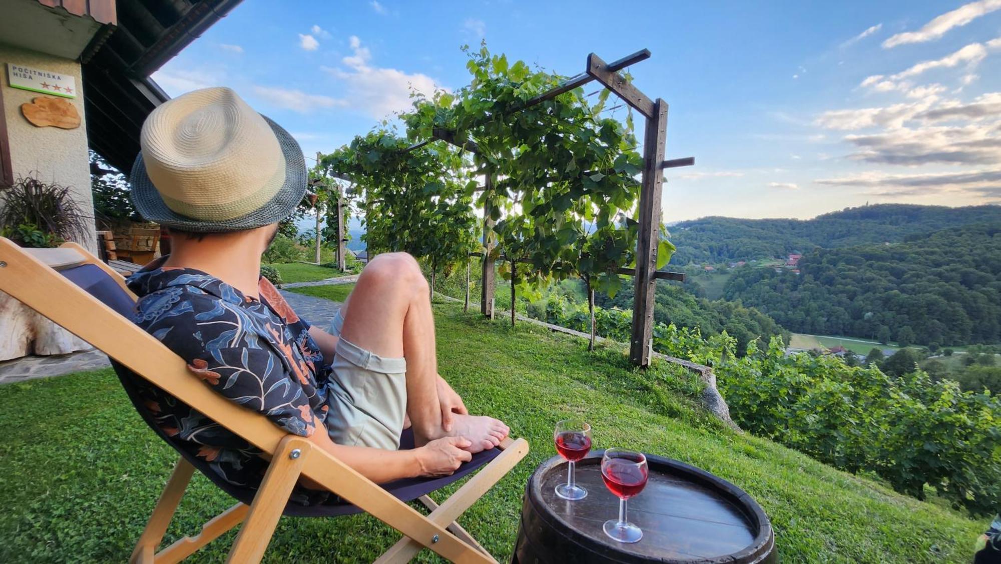 Vineyard Cottage Podrzaj 오토세크 외부 사진