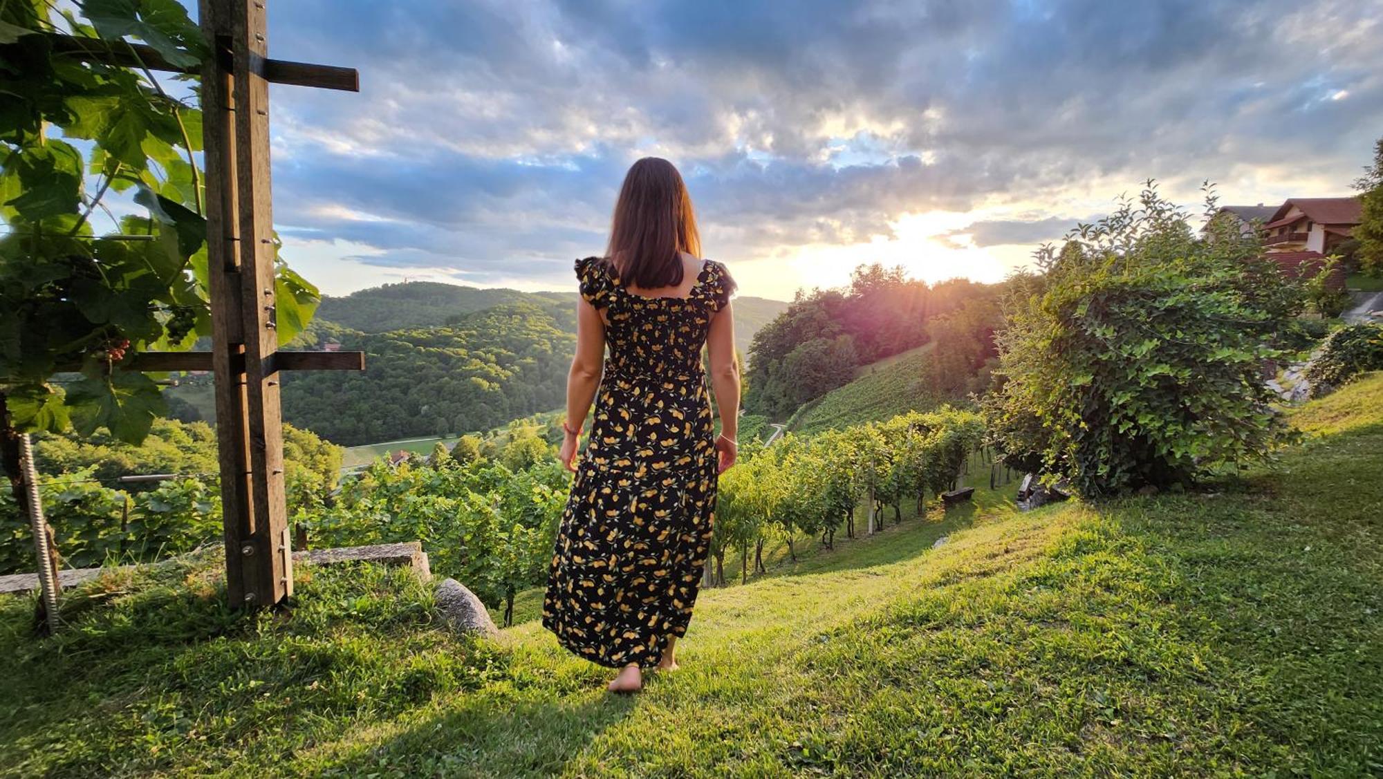 Vineyard Cottage Podrzaj 오토세크 외부 사진